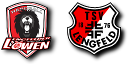 Mini-Löwen - Spielfest Handball-Infos